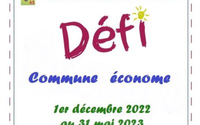 DEFI « COMMUNE ECONOME »