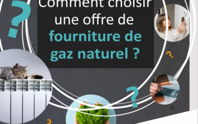 FIN DES TARIFS REGLEMENTES DE VENTE DU GAZ : le SDE65 vous aide à choisir votre fournisseur