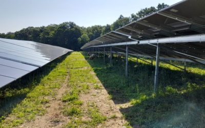 SEM HA-PY ENERGIES : un grand CHANTIER PV et des brebis à Oroix et Pintac