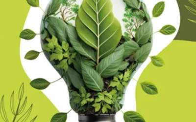 Article dans le magazine « La Bigorre, un avenir en vert »