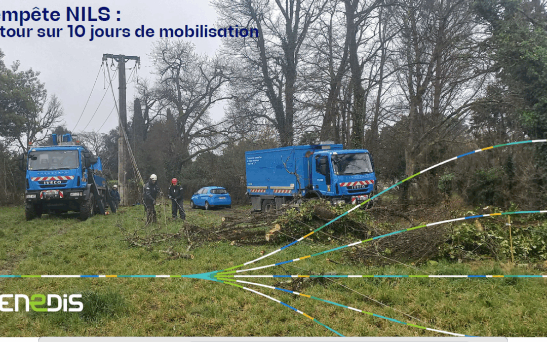 Tempêtes Nils et Pedro : retour d’expérience d’ENEDIS présenté au Comité Syndical du SDE65